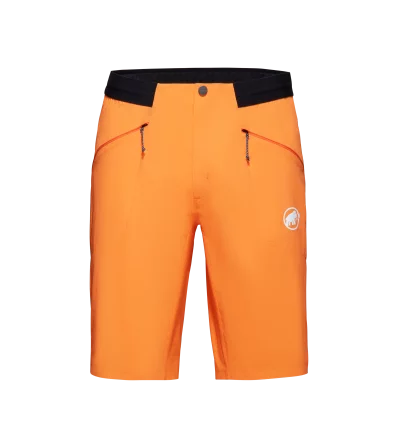 Шорти Mammut Aenergy Light So Shorts SS2024