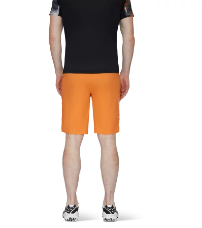 Шорти Mammut Aenergy Light So Shorts SS2024