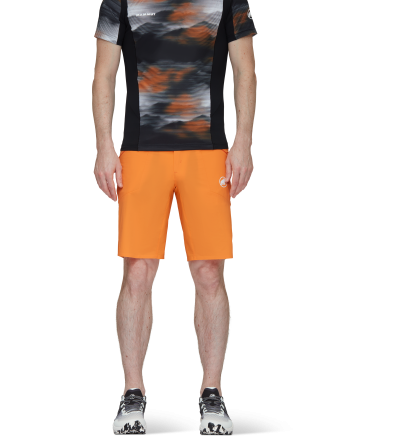 Шорти Mammut Aenergy Light So Shorts SS2024