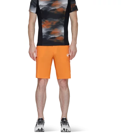 Шорти Mammut Aenergy Light So Shorts SS2024