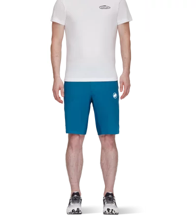 Шорти Mammut Aenergy Light So Shorts SS2024