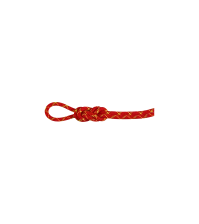 Въже Mammut 8.0 Alpine Core Protect Dry Rope 50m Winter 2025