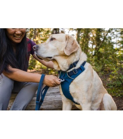Нагръдник Ruffwear Front Range Harness