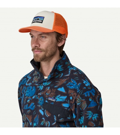 Шапка Patagonia P-6 Logo Trucker Hat Summer 2025