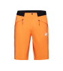 Шорти Mammut Aenergy Light So Shorts SS2024