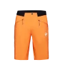 Шорти Mammut Aenergy Light So Shorts SS2024