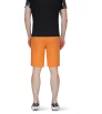 Шорти Mammut Aenergy Light So Shorts SS2024