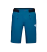 Шорти Mammut Aenergy Light So Shorts SS2024