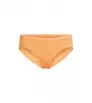 Бикини Icebreaker W's Merino 150 Siren Hipkini Snow Day Winter 2025