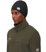 Шапка Mammut Taiss Light Beanie Winter 2024
